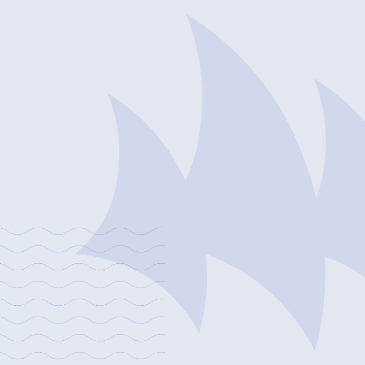 NBSFC Billfish Shootout